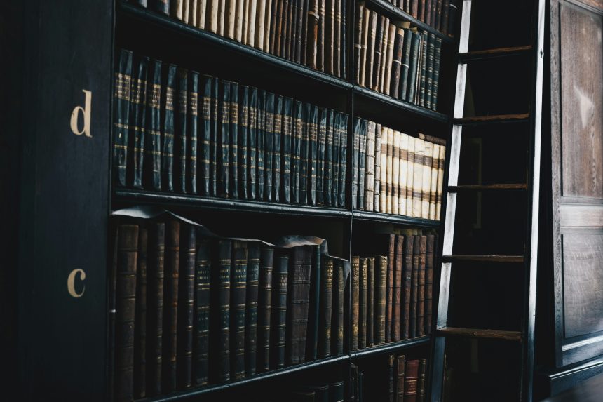 giammarco-boscaro-OPzWvgL-upY-unsplash Legislación sobre medio ambiente