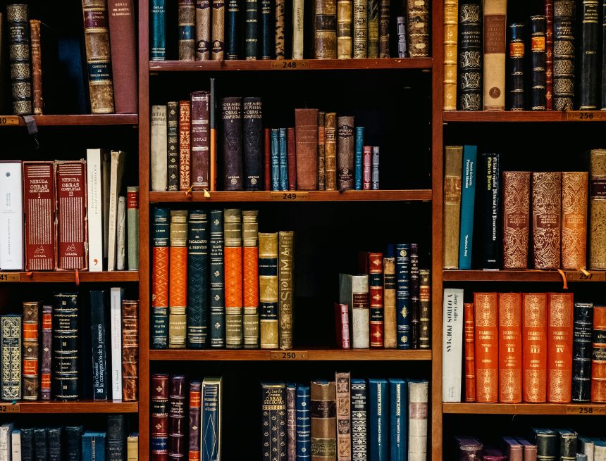 inaki-del-olmo-NIJuEQw0RKg-unsplash Programa piloto de justicia terapéutica